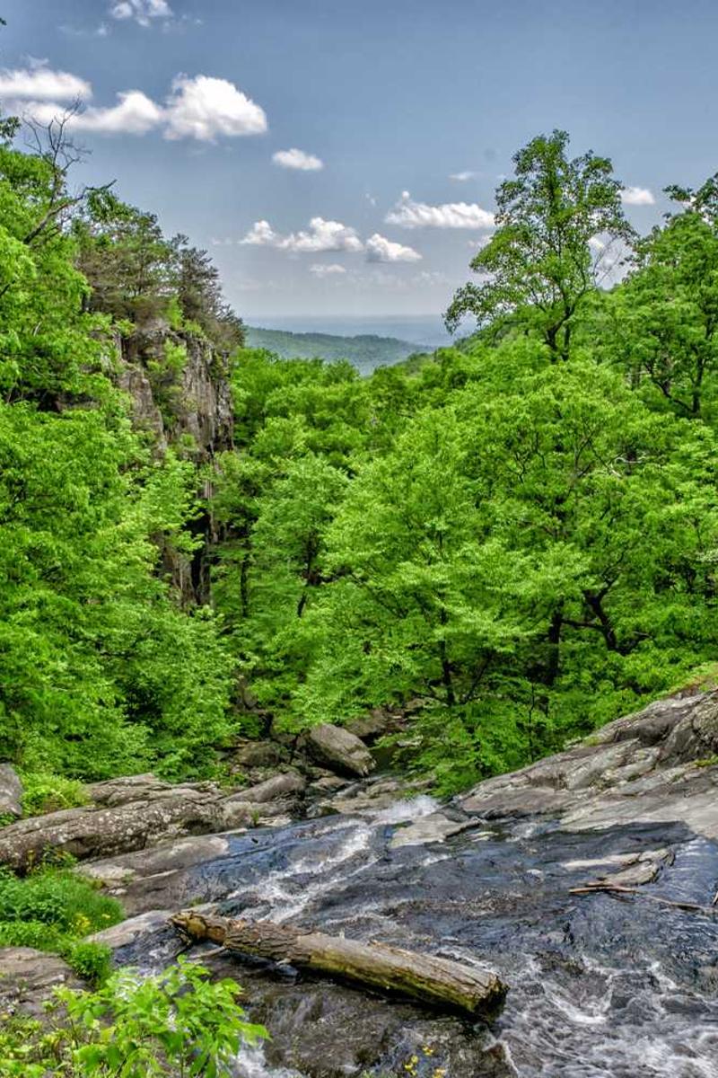 9.1隐藏路线蓝莓官方版下载-9.1隐藏路线蓝莓正版v1.3.5-视频动漫网站入口大全在线免费页面3